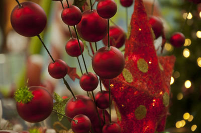 Close-up of red berries hanging on tree