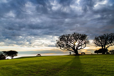 Trees on field against cloudy sky