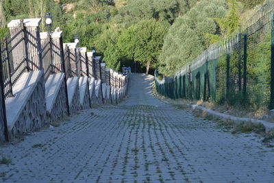 Footpath amidst trees