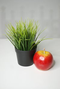 Close-up of apple against white background