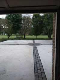 Trees by footpath seen through window