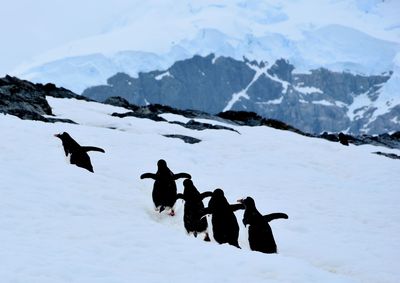 People on snow covered mountains against sky