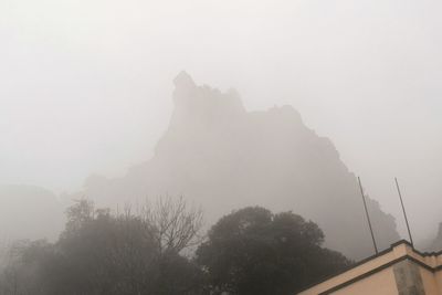 Low angle view of trees in foggy weather against sky