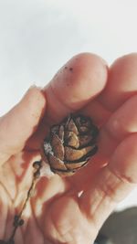 Close-up of hand holding ice cream