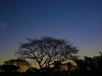 Low angle view of silhouette trees against sky at sunset