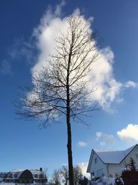 Low angle view of bare tree against sky