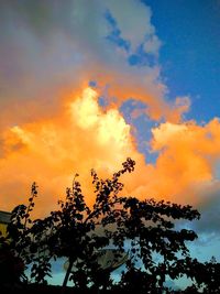 Low angle view of silhouette trees against sky during sunset