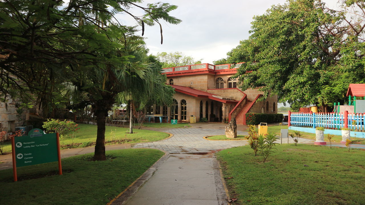 ROAD BY TREES AND BUILDINGS AGAINST SKY