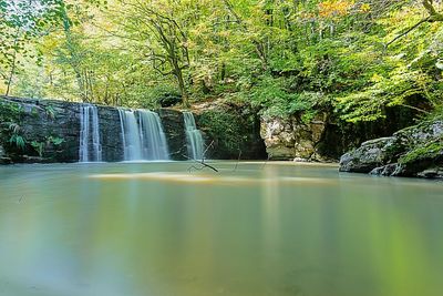 Scenic view of waterfall in forest