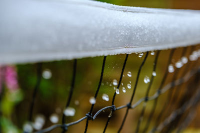 Close-up of water drops on football net