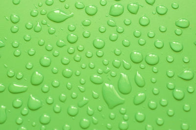 Full frame shot of water drops on leaf