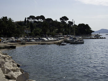 Sailboats moored in marina