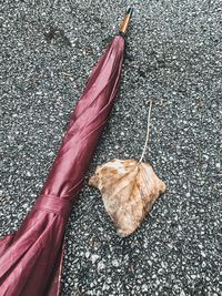 High angle view of dry leaf on footpath