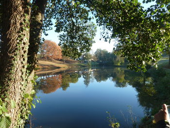 Reflection of trees in lake against sky