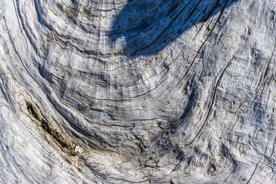 Deadwood log macro.