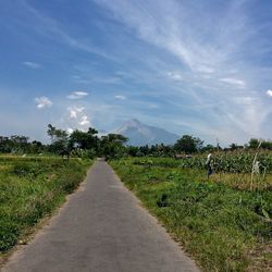 Road amidst field against sky