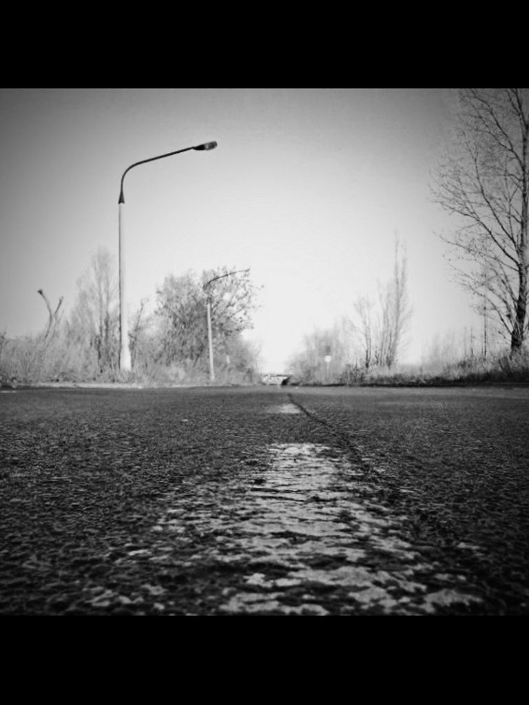 clear sky, transfer print, tree, bare tree, auto post production filter, transportation, the way forward, tranquility, winter, water, road, street light, tranquil scene, snow, nature, cold temperature, season, silhouette, copy space, sky