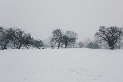 Trees on snow covered landscape against clear sky