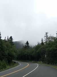 Road by trees against sky