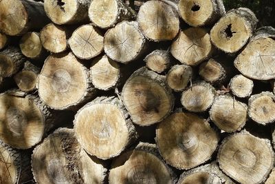 Full frame shot of firewood