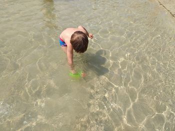 High angle view of boy swimming in pool