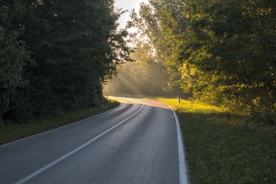 The road, which at the bend is illuminated by sunlight. it represented inspiration