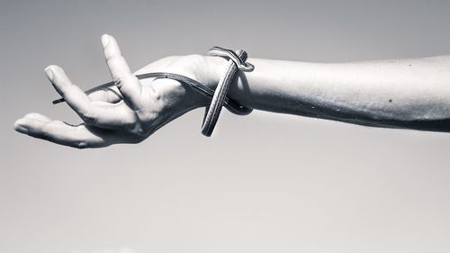 Cropped hand with snake against clear sky