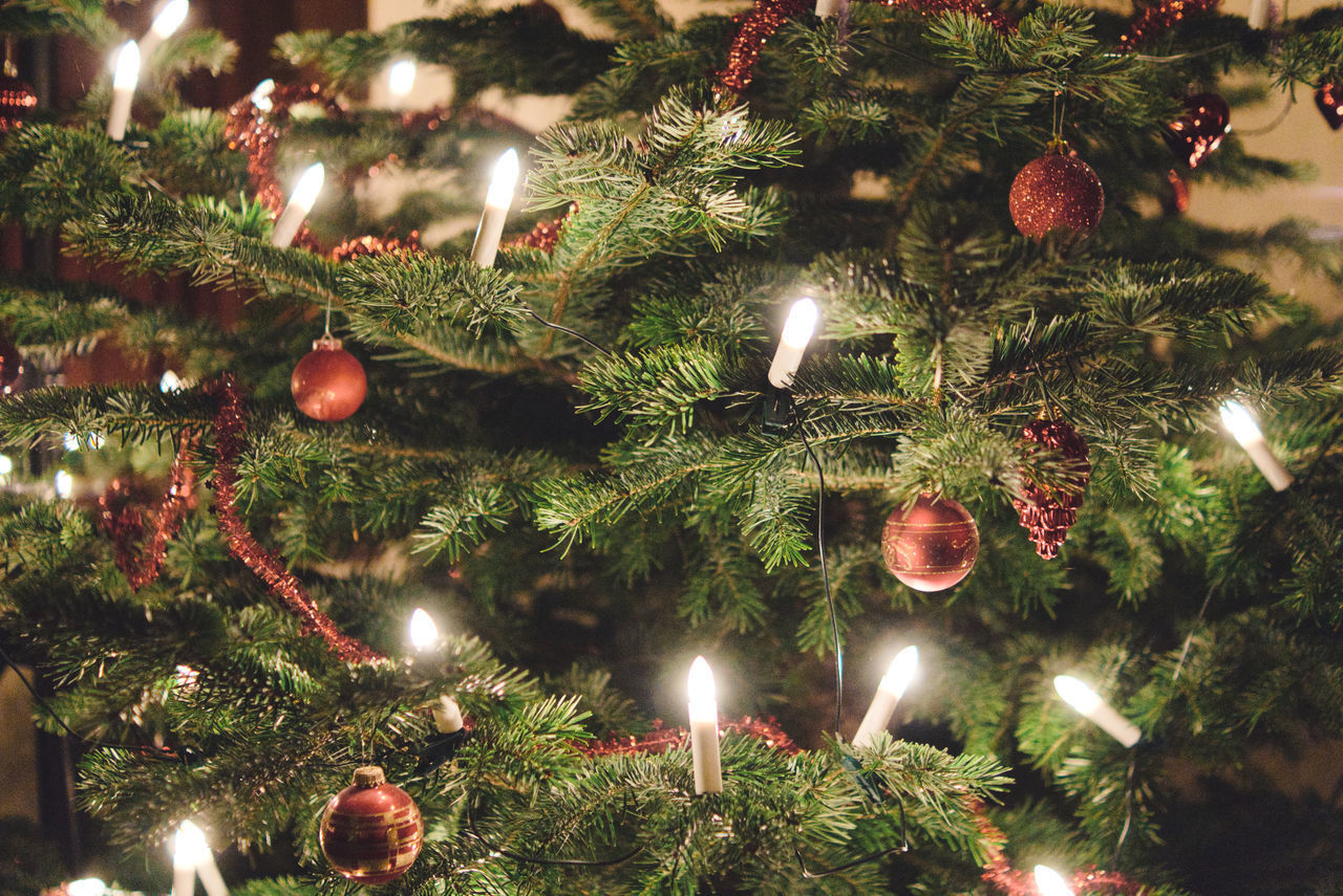 ILLUMINATED CHRISTMAS TREE AT NIGHT DURING FESTIVAL