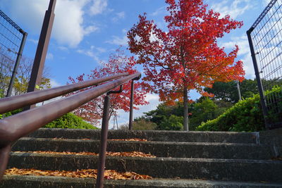 Low angle view of staircase against trees