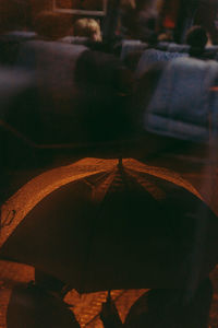 High angle view of leaves on plant