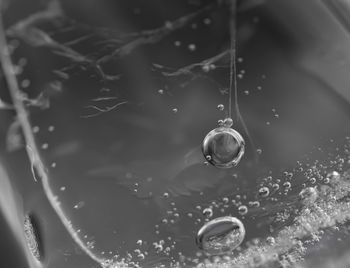 Close-up of water drops on bubbles