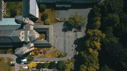 Trees and plants growing outside building
