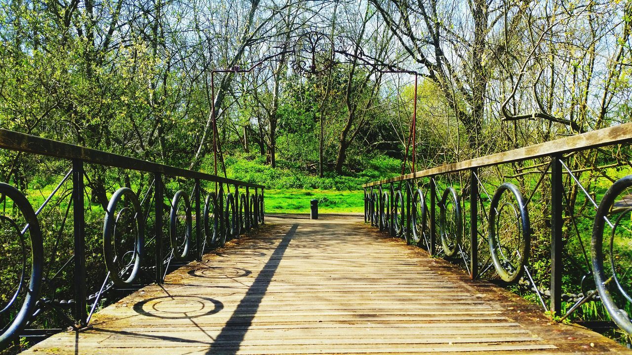 the way forward, tree, diminishing perspective, railing, tranquility, vanishing point, growth, footpath, footbridge, nature, walkway, bicycle, tranquil scene, green color, wood - material, park - man made space, branch, bridge - man made structure, beauty in nature, pathway