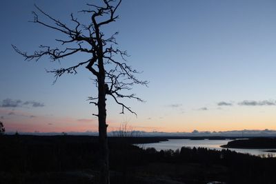 Silhouette tree by sea against sky during sunset