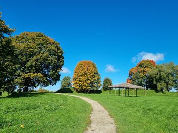 Trees on field against blue sky