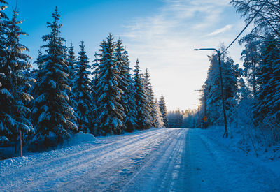 Snow covered road amidst trees against sky