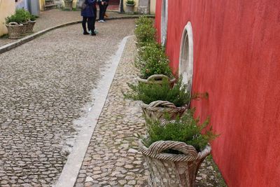 Low section of man walking on footpath