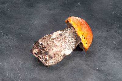 Close-up of bread on leaf