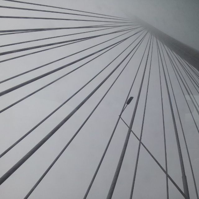 low angle view, built structure, architecture, connection, sky, day, cable, no people, modern, outdoors, part of, clear sky, pattern, directly below, bird, railing, bridge - man made structure, building exterior, power line, transportation