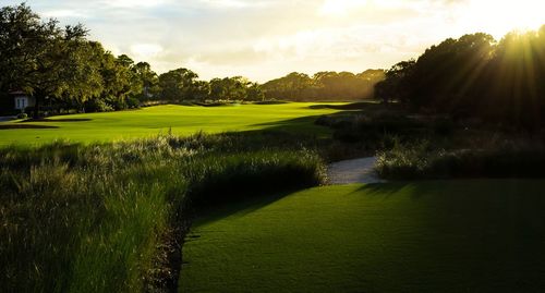 Scenic view of golf course against sky