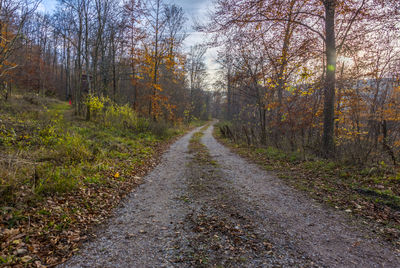 Road amidst trees in forest during autumn