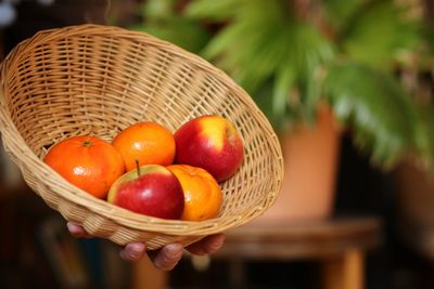 Close-up of fruits in basket