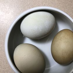 High angle view of egg in bowl on table