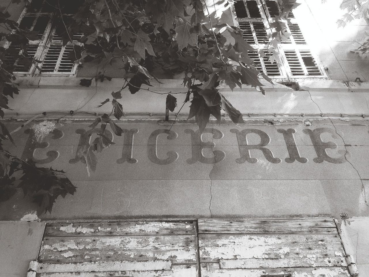 building exterior, architecture, built structure, tree, wall - building feature, text, street, outdoors, day, building, steps, sidewalk, western script, wall, sunlight, low angle view, shadow, city, plant