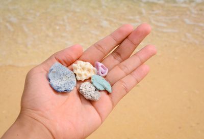 Close-up of hand holding pebbles