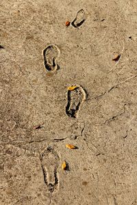 High angle view of footprints on sand