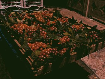 High angle view of fruits in basket