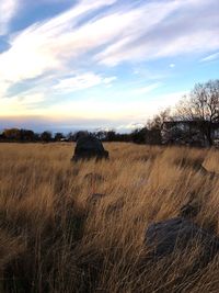 Hay bales on field against sky