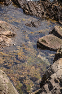 Full frame of a tide pool surrounded by large rocks