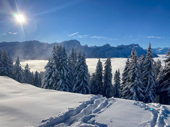 Panoramic view of snow covered mountains against sky